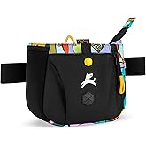 OllyDog Backcountry Day Bag | Hands-Free Dog Training Treat Pouch | Fanny/Hip Pack with Zipper Closure & Built-in Poop Bag Dispenser | Removable Waist Clip (Cloud9)