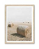 HesenDot Round Hay Bale Framed Wall Art,12x16in