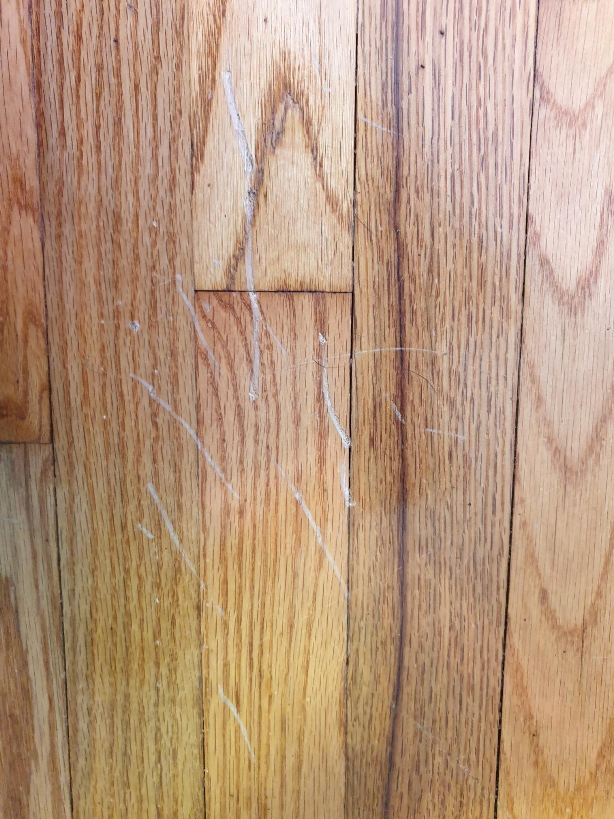 1/mo Finance Guardsman Wood Repair Filler Sticks 5 Colors Plus