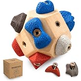 HASTRIDE Boulder Block Rock Climbing Grip Trainer - 12 Unique Resin Holds with Color-Guided Training Paths, Premium Wood Finger Strength Trainer for Climbers, Portable Bouldering Gift for Men &amp; Women