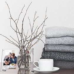 Roowest 1 Pcs Cardinal Memorial Picture Frame