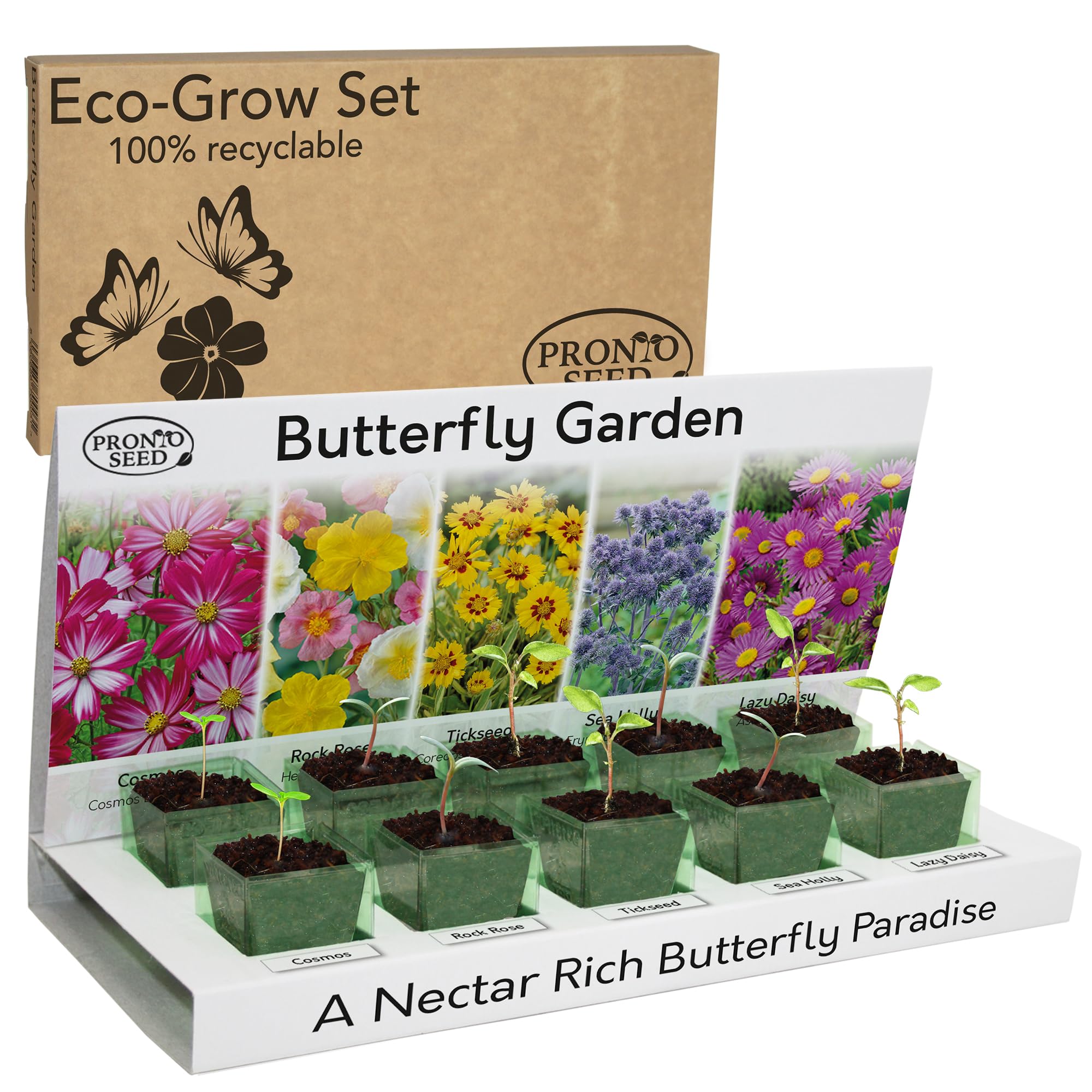 Pronto Seed Grow Your Own Flowers - Indoor Plant Kit - Eco-Friendly - 5 Seed Varieties - Easy to Grow - Gardening Pack - Gift for Teachers, Men & Women - Beginner Friendly
