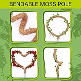 Yizerel Bendable Moss Pole 25 Inch 2 Pack for Monstera Creepers Plant Support view 4