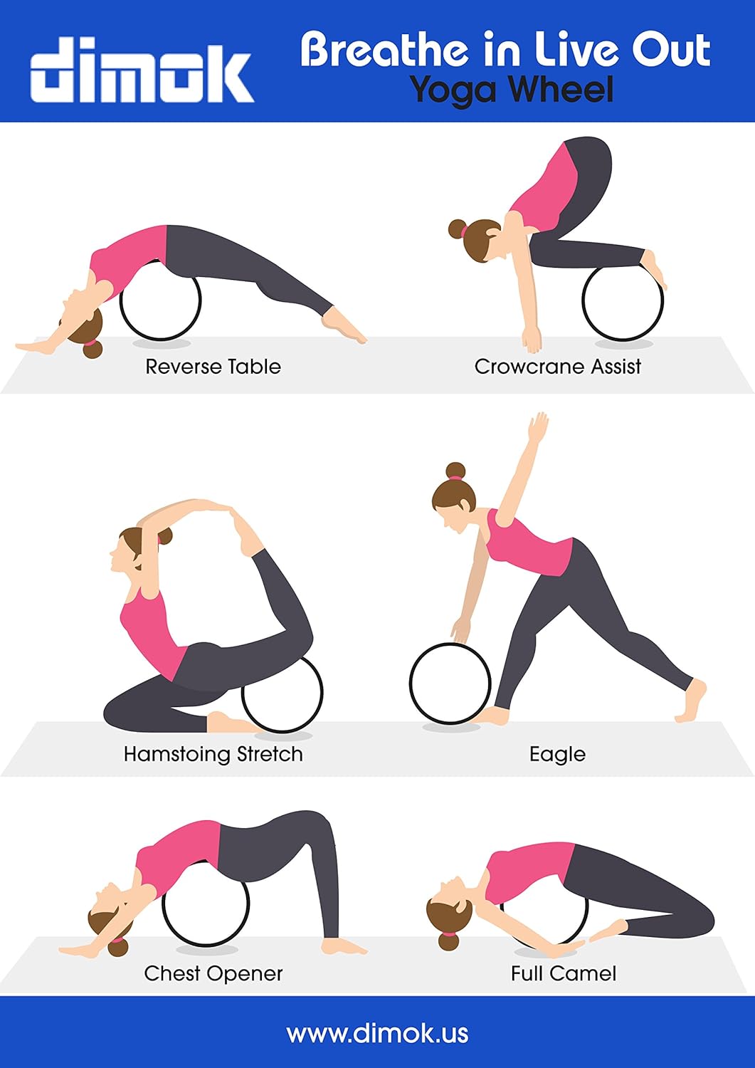 Amazon.com : dimok Yoga Wheel Strap and Massage Ball Combo ...