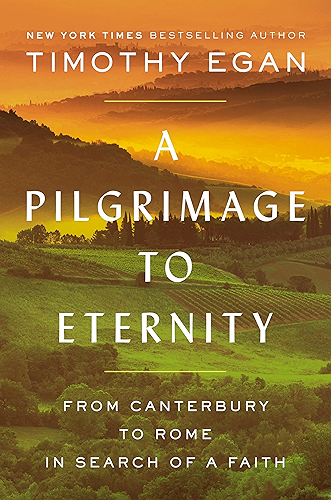 Download A Pilgrimage to Eternity: From Canterbury to Rome in Search of a Faith (English Edition) PDF