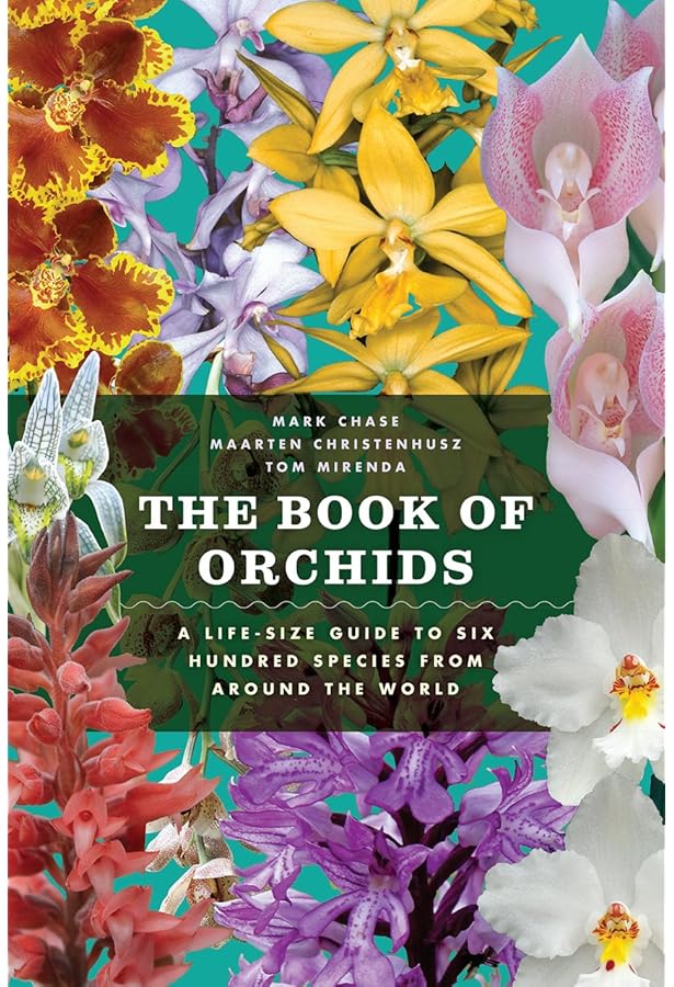 The Illustrated Encyclopedia of Orchids: Pridgeon, Alec