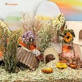 Niteangel Natural Flower Hamster Bedding 7.0 oz Small Pet Habitat Decor view 6