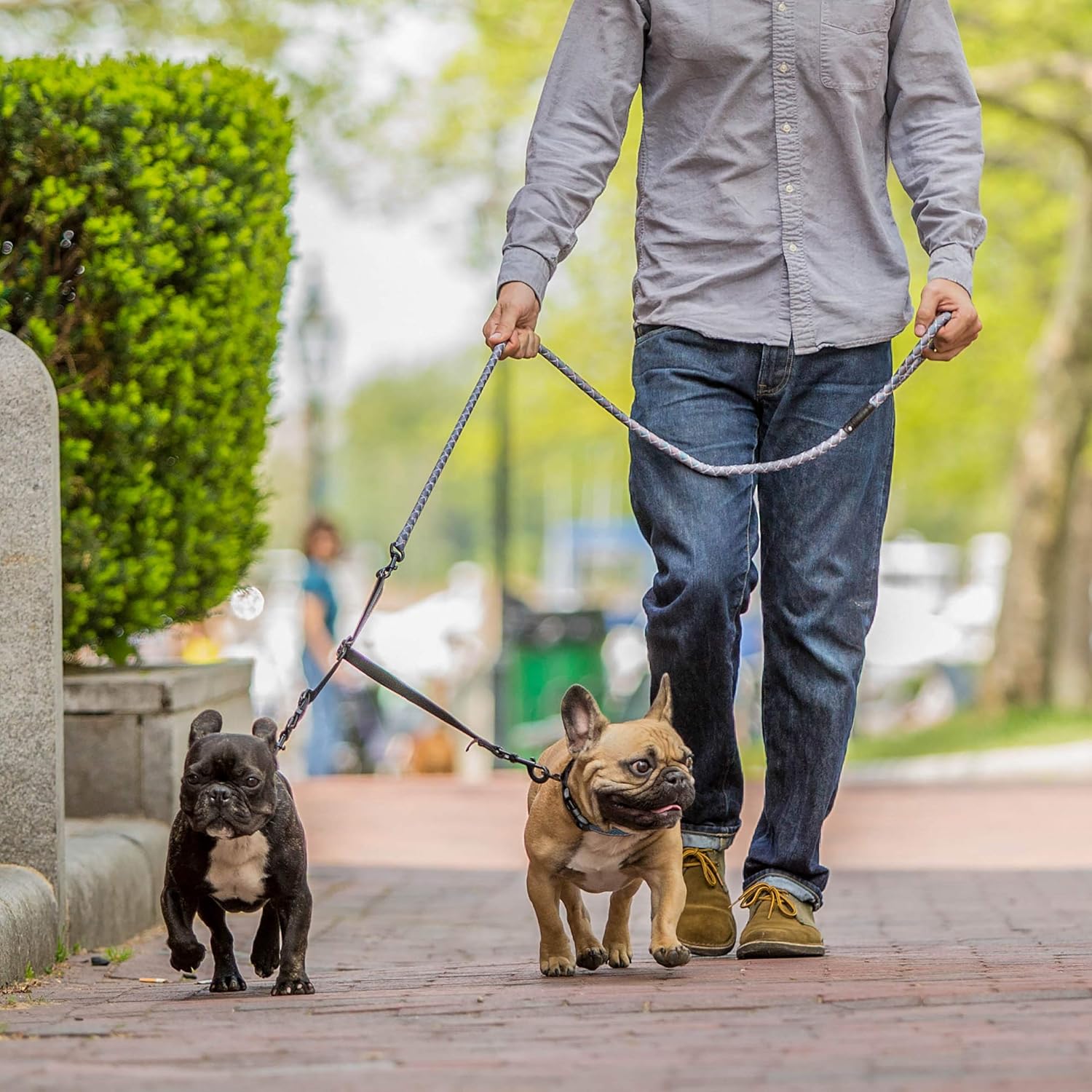 quantum leash 6 in 1