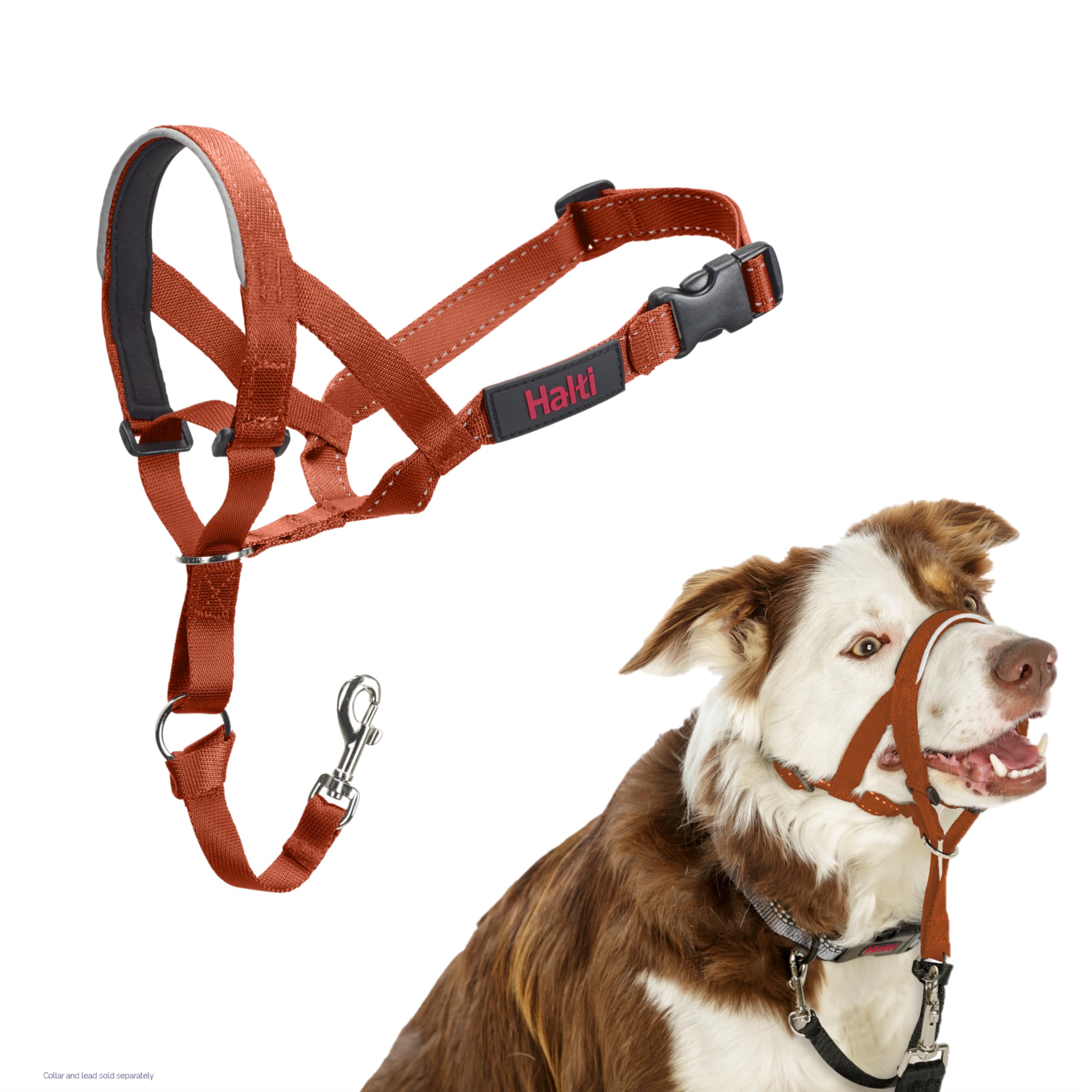Halti Headcollar - Stop Your Dog Pulling on the Lead. Adjustable, Reflective and Lightweight, with Padded Nose Band. Dog Training Anti-Pull Collar for Medium Dogs (Size 2, Burnt Orange)