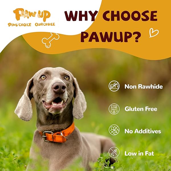 PAWUP CHICKEN JERKY DOG TREATS, LOWER MOISTURE CONTENT, HEALTHY PREMIUM CHEWY DOG JERKY TREATS, 10.6 OZ