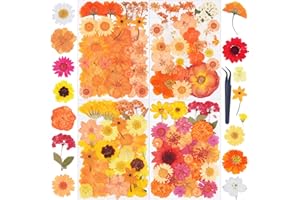 110Pcs Fall Dried Pressed Flowers for Crafts,Xinxinran Dry Flower Kit for Resin Molds,Epoxy Resin Accessories,Bookmark,Nails, Jewelry Molds,Candle Making Supplies,Soap,Frame