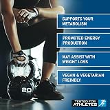Applied Nutrition L-Carnitine Powder 150g High Strength Metabolism Support view 3