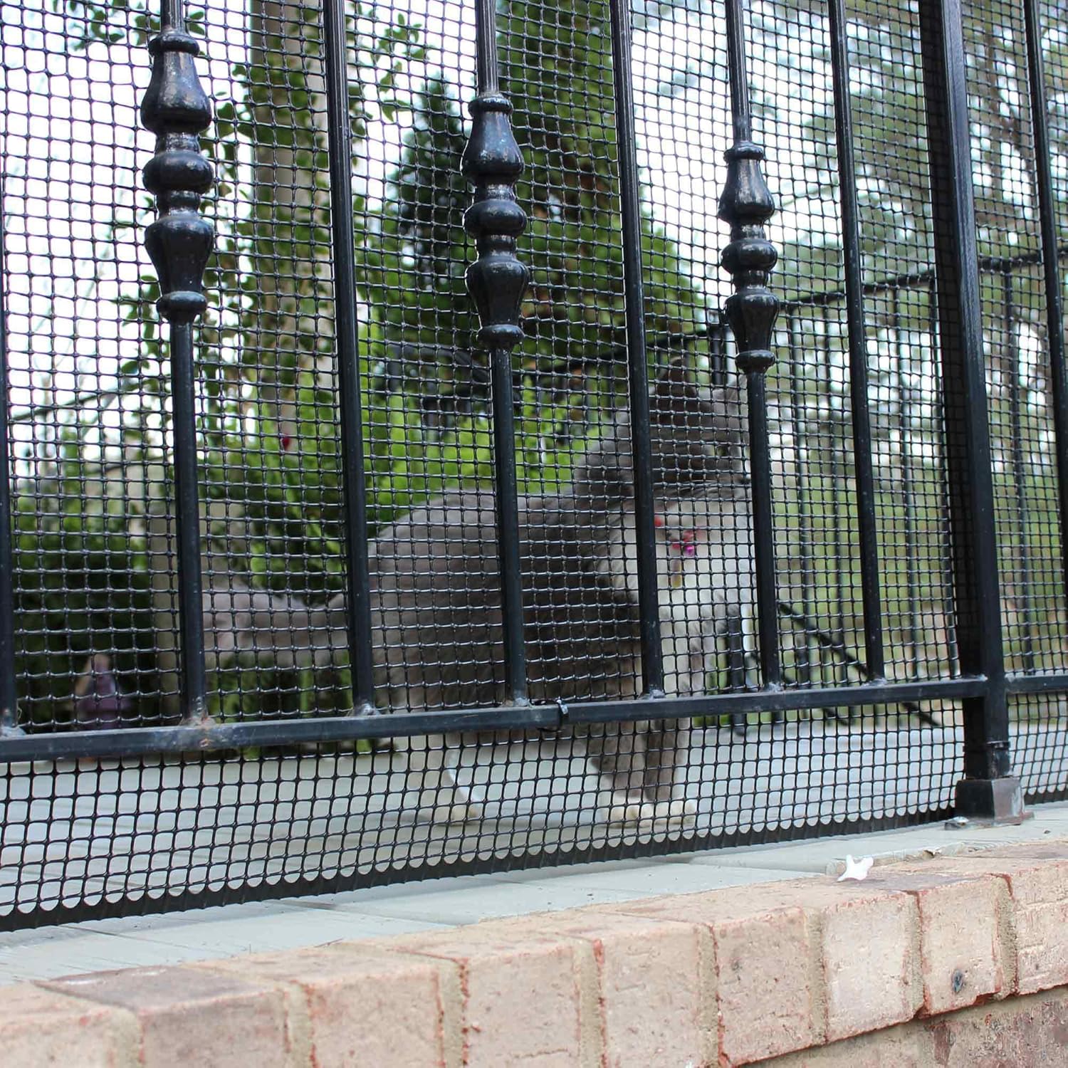 cardinal gates pet gate deck netting