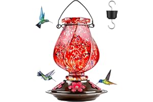 BOLITE Hummingbird Feeder, Hand Blown Glass Hummingbird Feeders for Outdoors Hanging, with Ant Moat and 5 Feeding Ports, 22 Ounces, Red, Birthday Gifts for Women Men, Gifts for Mom Dad
