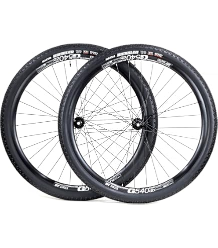 Amazon.com : DT Swiss 350/XM421 Front Wheel : Sports & Outdoors