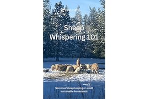 Sheep Whispering 101: Secrets of Sheep Keeping on Small Sustainable Homesteads