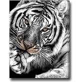 Biuteawal Black White Tiger Wall Art for Living Room Brown Eyed Tiger Painting Prints on Canvas Wild Animal Picture Art Decor Home Office Men Bedroom Modern Decoration Ready to Hang