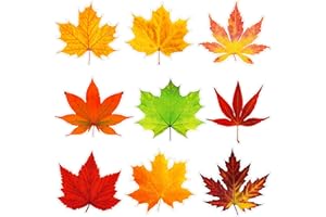 Ferraycle 198 Pcs Thanksgiving Fall Bulletin Board Decorations Fall Leave Cutout Autumn Artificial Leaf Cutout Maple Paper Leave with Glue Point Dot for Bulletin Board Wall Decoration, 3.94 x 3.5 in