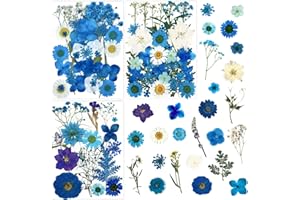 LUCISKY 85 Pcs Blue Pressed Dried Flowers for Resin Molds, Real Natural Flowers Leaves Bulk for DIY Art Nail Crafts, Jewelry, Candle, Soap Making