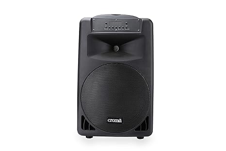 croma party speaker