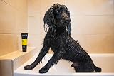 Animology Fox Poo Deodorising Dog Shampoo 250ml Brand New view 7
