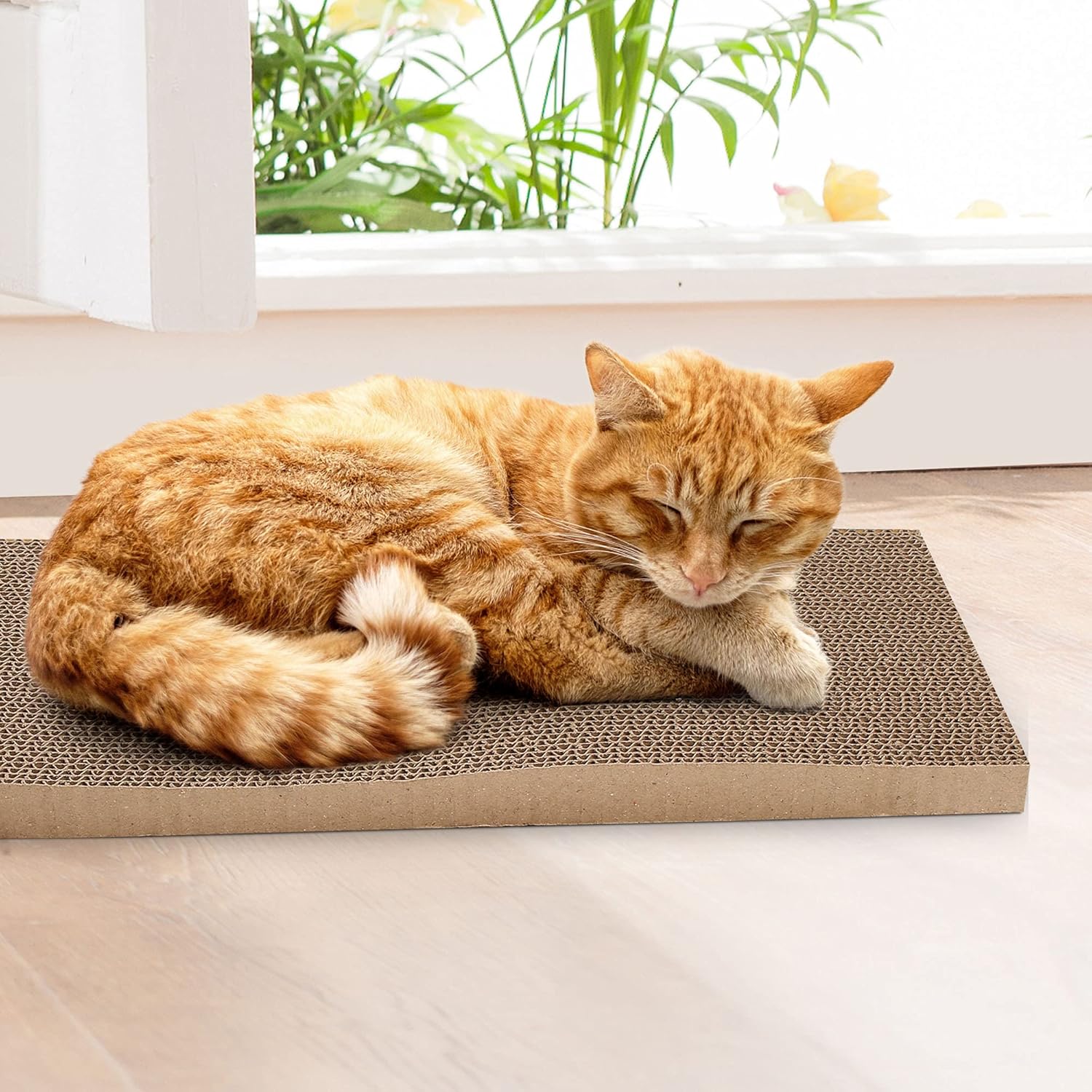 3 in 1 Cat Scratcher Cardboard, Reversible Corrugated Cat Scratching Pad, Recycle Wave Curved Scratcher Board Lounge Sofa Bed Repalcement for Furniture Protector, Catnip Included : Kitchen & Dining