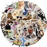 50Pieces Cat Dog Meme Stickers, Funny Animal Transparent PET Sticker Self-Adhesive Scrapbooking Stickers Supplies Journal Stocking Stuffers for Kid Adult Card Making Letters DIY (CDMEME-PET)