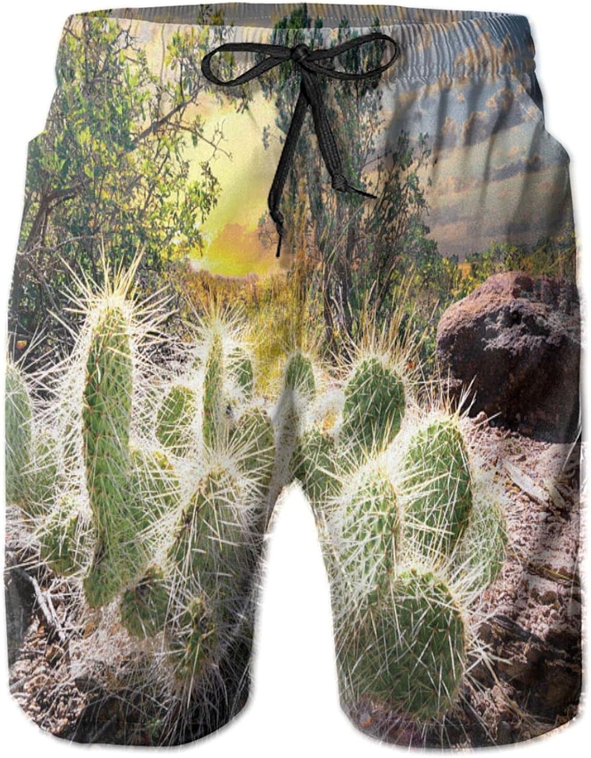 Cactus at Sunrise Men Elastic Beach Shorts Summer Swimwear