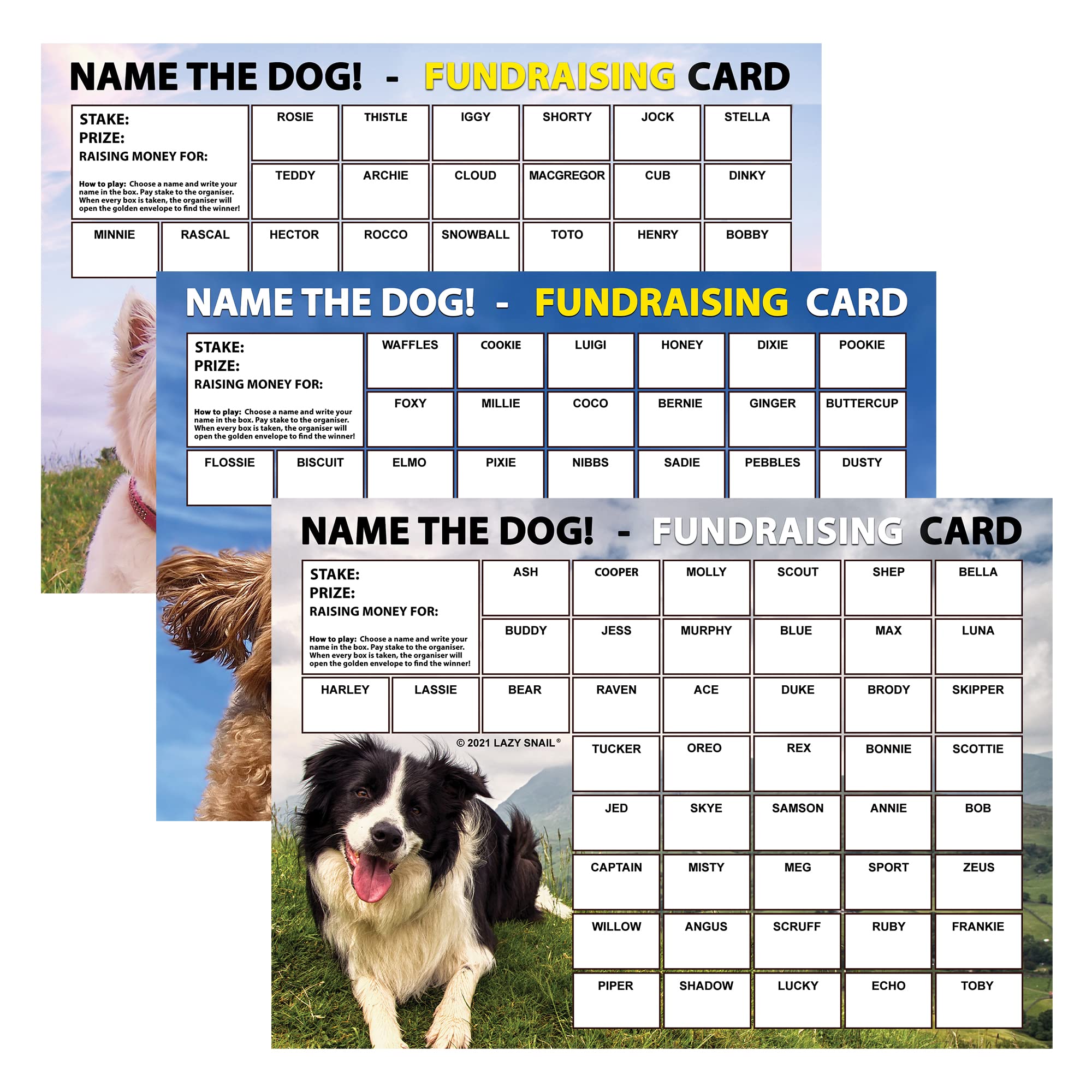 Lazy Snail 'Name the Dog' Fundraising Cards - 45 Squares - Fun Golden Winner Envelopes to Raise Money for Charity - Full Colour Fund Raising Cards (Variety Dog Pack (A5) - 24 Cards)