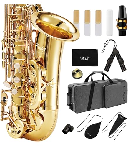 Amazon.com: Selmer Bundy II Eb Alto Saxophone with Case : Musical