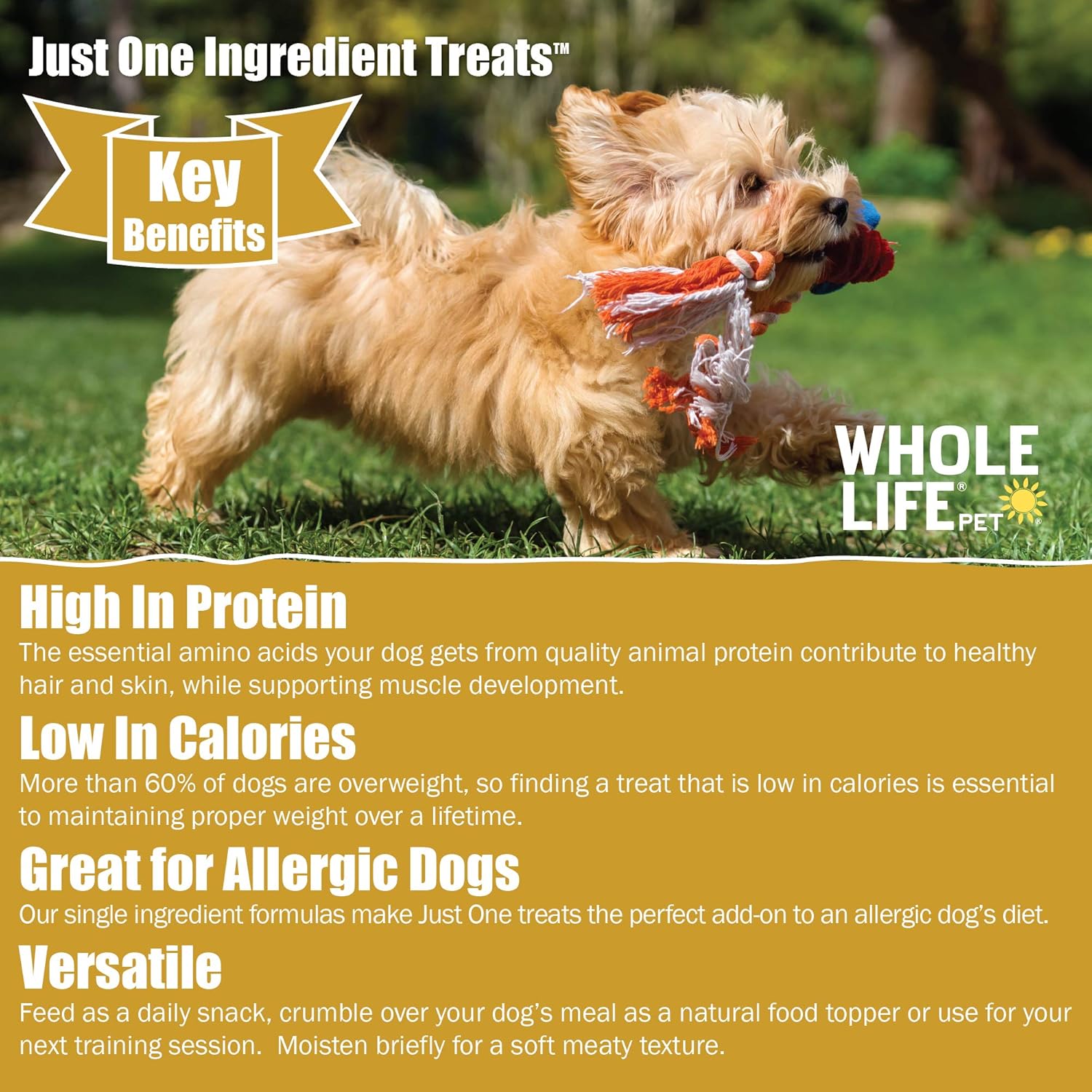healthy snacks for overweight dogs