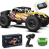 RIAARIO 1:12 RTR Brushless RC Desert Cars for