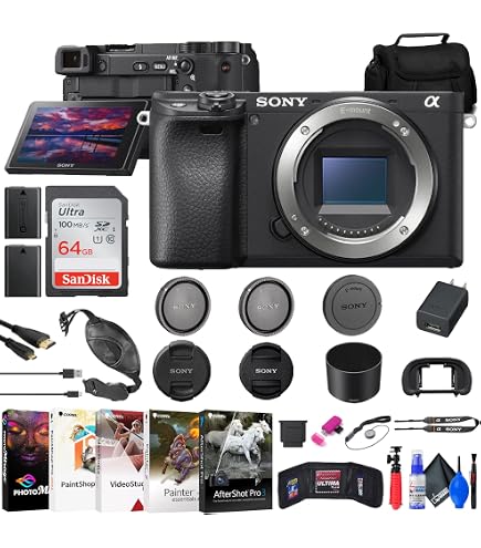 Amazon.com : Sony a6400 Mirrorless Camera with 16-50mm f/3.5-5.6