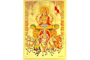 Suninow lord surya photo (8 x 12 )