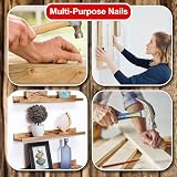 D.A.Y. Republic Flat Head Nails 250 Assorted Sizes Zinc Plated Woodwork Storage view 4