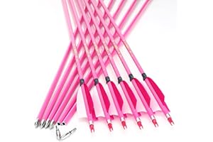 annastar 30" Carbon Feather Arrows Practice Hunting Arrows Spine 300 340 400 500 600 700 800 for Recurve Bow & Compound Bow (12 pcs)