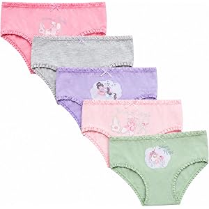 Princess Rose Toddler Girls Underwear 5 Pack Bikini Panties (2T-4T) | Soft Breathable Weave, Tagless Gentle Waistband, Cute E
