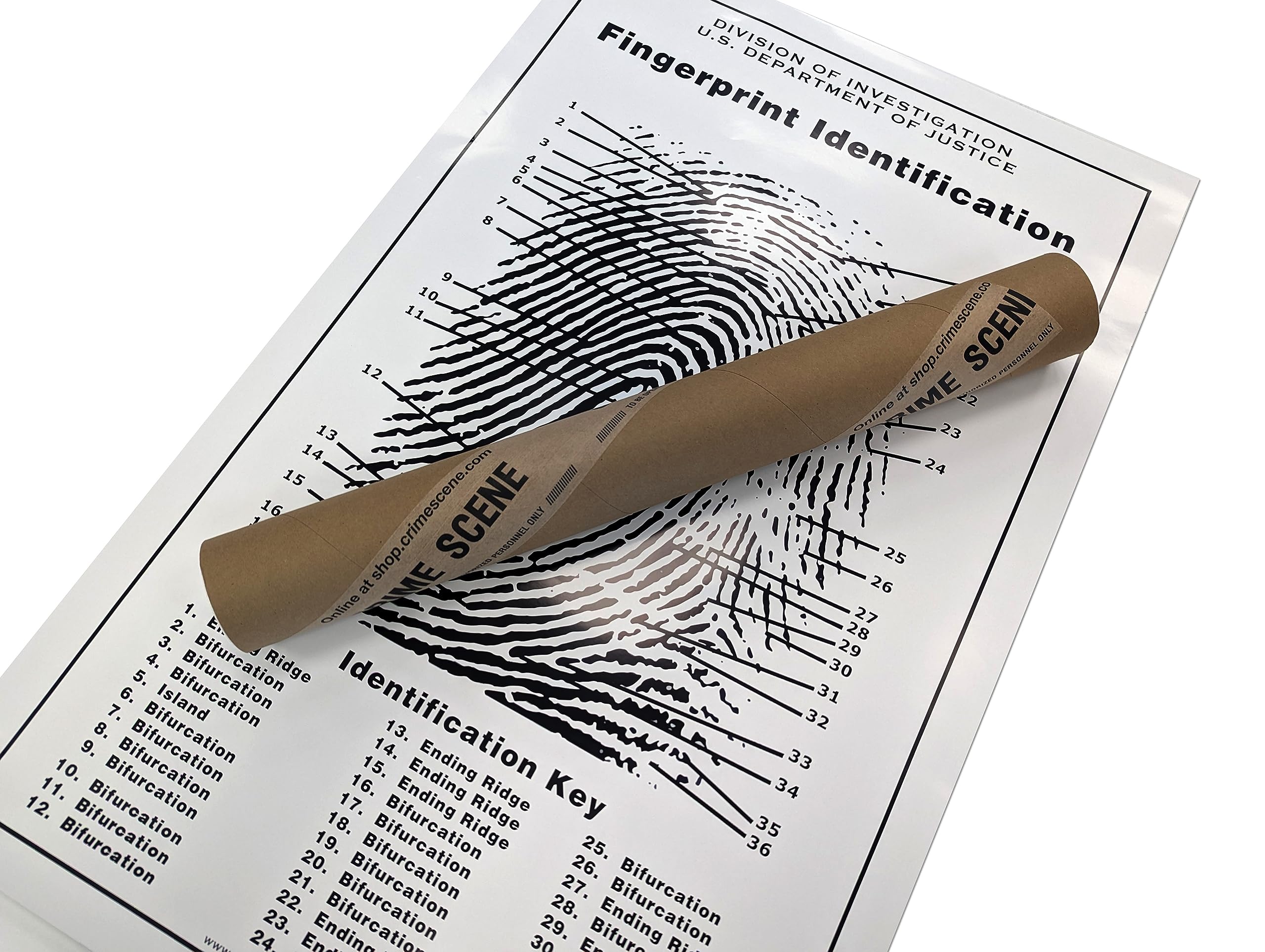 Crime Scene Fingerprint Chart, Poster Size 24