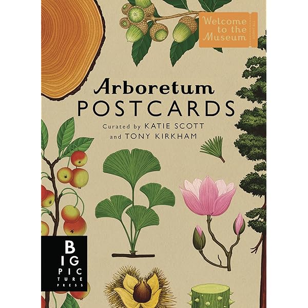 Fungarium Postcard Box Set (Welcome to the Museum): Gaya