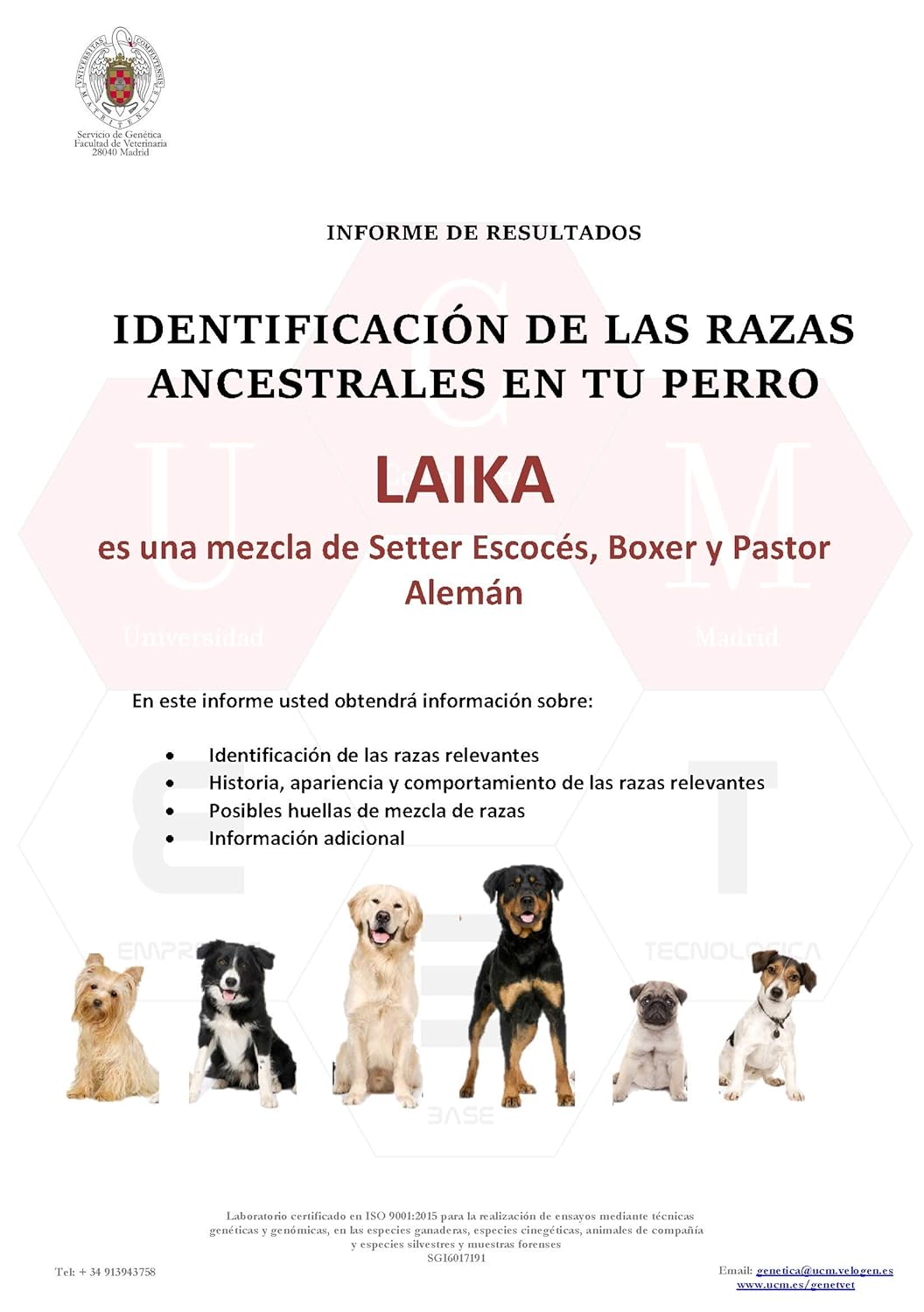 Canis-Adn-Mix Test ADN Perros: Amazon.es: Productos para mascotas