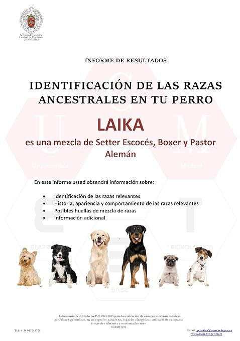 Canis-Adn-Mix Test ADN Perros: Amazon.es: Productos para mascotas