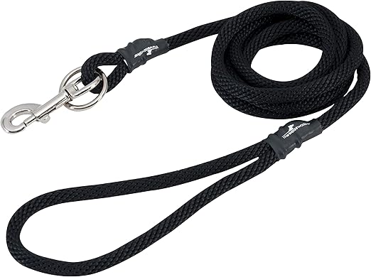 how to housebreak a one year old dog