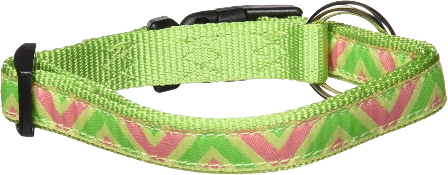 chevron dog collar
