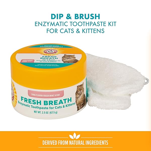 ARM & HAMMER DIP & BRUSH FRESH BREATH ENZYMATIC TOOTHPASTE KIT FOR CATS AND KITTENS WITH 2 MICROFIBER FINGER BUSHES, 2.5 OUNCES, TUNA FLAVOR | CAT DENTAL CARE KIT
