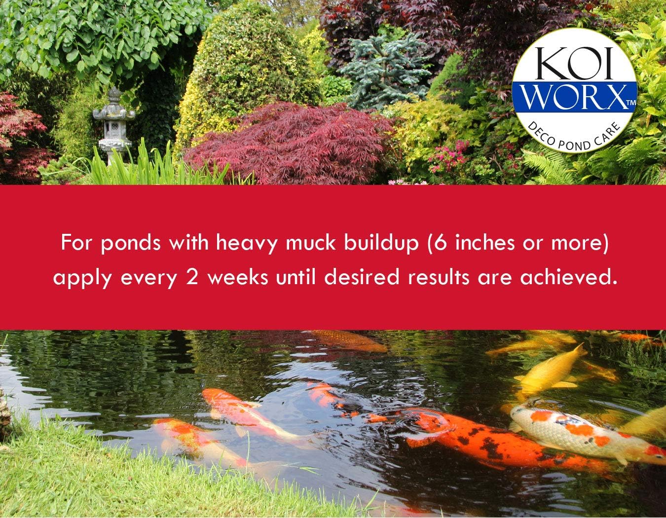 KoiWorx Muck Reducer, 145 Tablets, Dry Beneficial Bacteria, Reduces Muck, Sludge, Organic Build up, 100% Natural Bacteria, Safe for koi : Garden & Outdoor