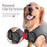 BellyGuard Dog Recovery Onesie X-Large Grey Cone Alternative view 6