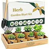 Indoor Herb Garden Start Kit - Unique Gifts for Women, Valentine's Day Gift, Easy House Plant- Birthday for Women,House Warming Gift New Home- Fresh Herb Garden DIY Crafts for Adults