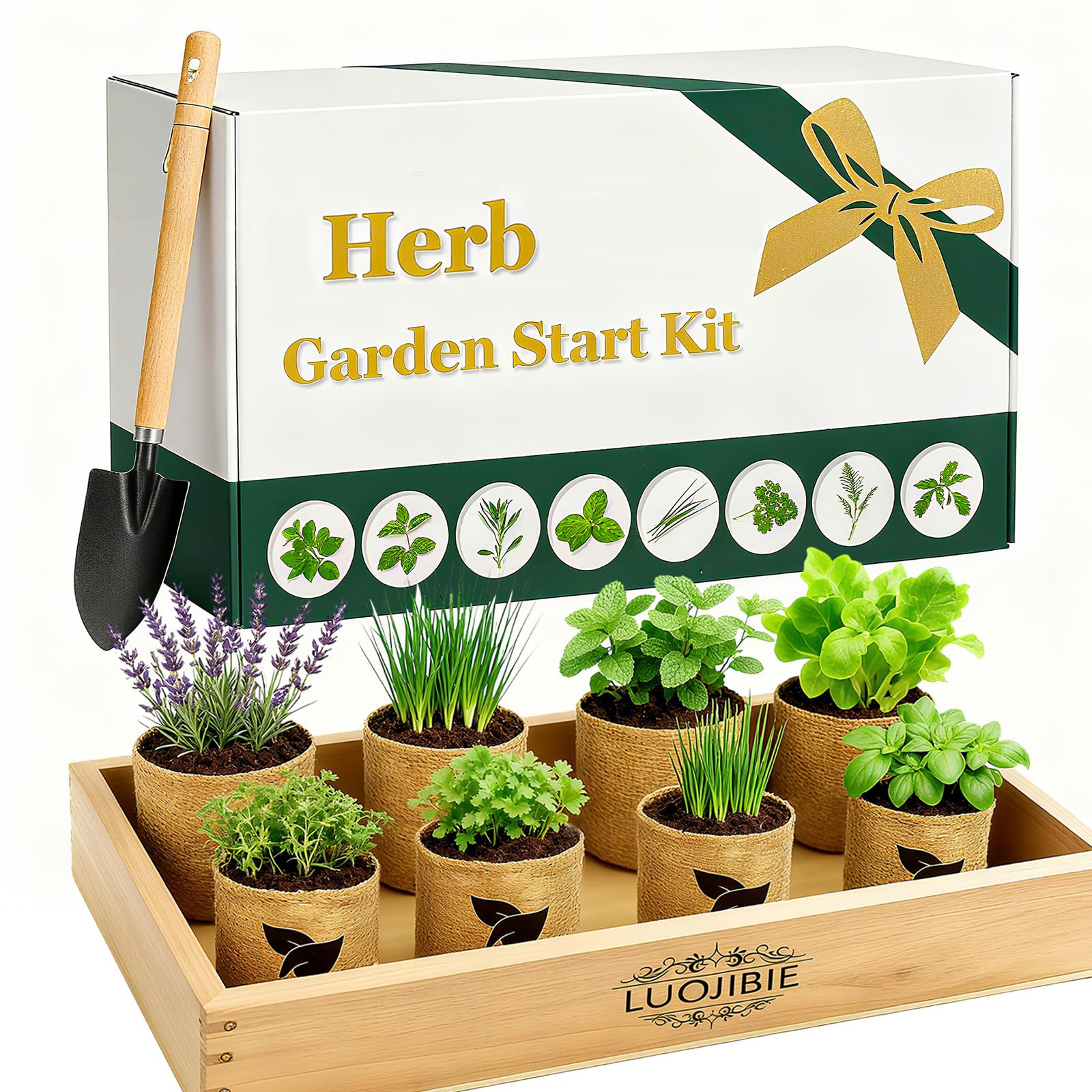 Photo 1 of *MINOR DAMAGE - USED*
Indoor  Garden Start Kit - Unique Gifts for Women, Mothers Day Gifts, Easy House Plant- Birthday for Women,House Warming Gift New Home- Fresh Herb Garden DIY Crafts for Adults