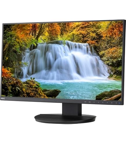Amazon.com: NEC EA241F-BK 24 Full HD Business-Class Widescreen
