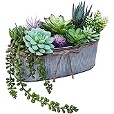 Winlyn 10" Artificial Succulent Arrangement Centerpiece Fake Succulent Plants in Rustic Metal Oval Planter Faux Potted Succulents for Home Office Bedroom Table Windowsill Shelf Mantel Decor